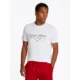 Tommy-Hilfiger_miesten valkoinen t-paita_hilfiger center stack tee__SP2025_YBR_MW0MW38621YBR (1)