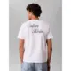 Calvin-Klein-valkoinen-miesten-t-paita-selka-ja-etu-printilla